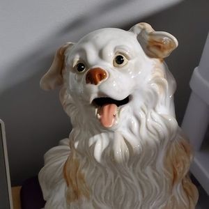 Meet your Posher, Tom